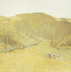 De Heuvels