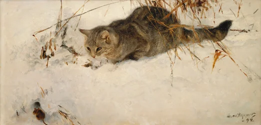 Een Kat die een Muis in de Sneeuw Besluipt