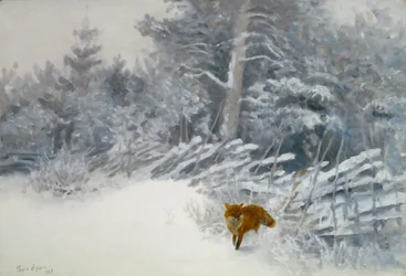 Een vos in winterbos