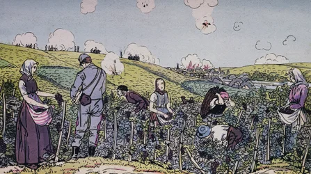 Onze wijnbouwers oogstten onder vuur, de druivenoogst in de Champagnestreek in 1914, Eerste Wereldoorlog, Frankrijk, 20e eeuw