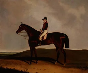 Een bruine renpaard