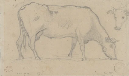 Grazende koe, rechtsboven nogmaals een koeienkop