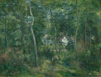 Rand van het bos bij L