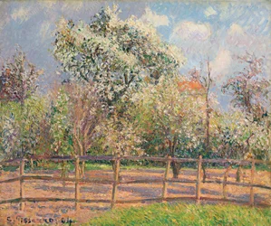 Perenbomen in bloei, Eragny, 1894
