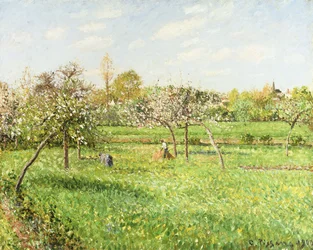 Ochtend, Lente, Grijs Weer, Eragny