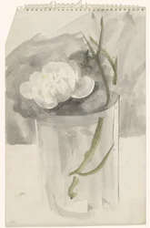 Witte bloem in een glas