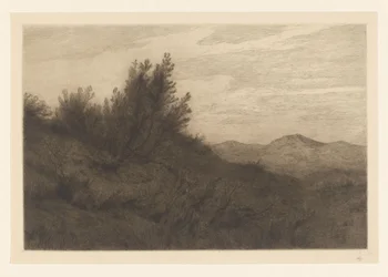Duinlandschap