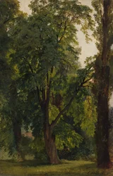 Bos in Konigswusterhausen
