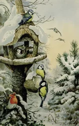 Winter Voedertafel met Pimpelmezen, Koolmezen, Huismussen en een Roodborstje