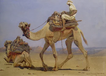 Kameel die zich voorbereidt om te gaan liggen, 1858