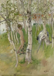 Naakte jongen tussen berken, 1898