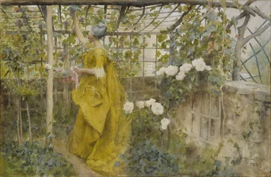 De wijnstok, 1884