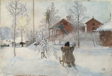 De Binnenplaats en Wasruimte, uit de serie Een Huis, c.1895