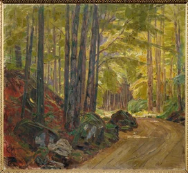 Pad door het bos (schilderij op doek)