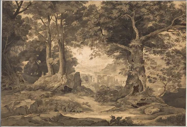 Heidelberg met de mooie verte