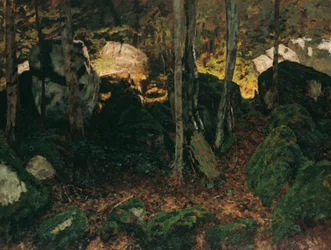 Bosinterieur bij Saut du Doubs