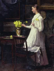 Schikken van Narcissen