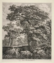 De herdersjongens