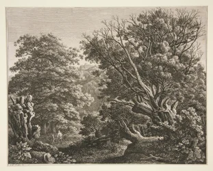 Landschap met Kromme Boom
