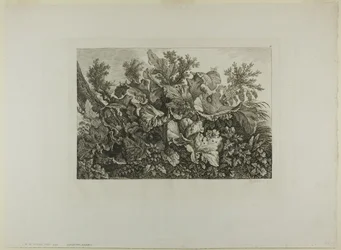 Moerasplanten
