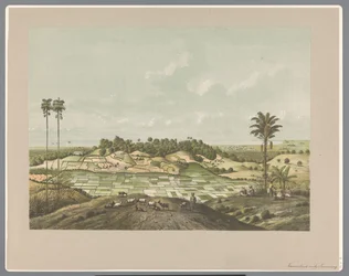 Noordkust nabij Semarang
