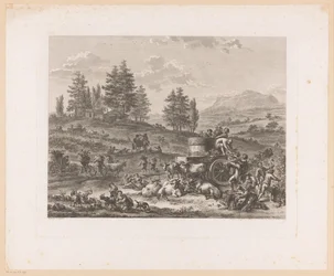 Wijnoogst in een landschap
