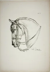 Detail van paardenhoofd, vergroot tot drievoudige grootte, Normandische Koninklijke Garde, nr. 2