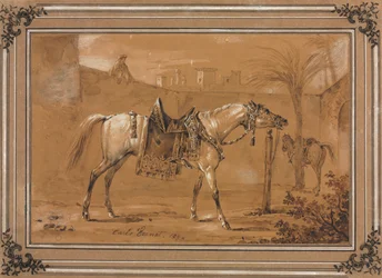Gezadeld Arabisch paard in binnenplaats