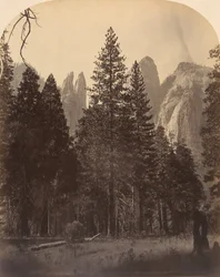 Kathedraaltorens, 1861