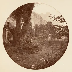 [Nationaal park Yosemite, Californië], ca. 1878.