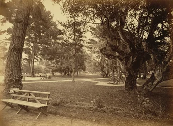 [Monterey, Californië. Hotel Del Monte, Lawn View].