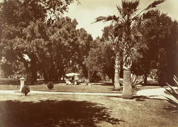 [Thurlow Lodge - Tent en Familiegroep].