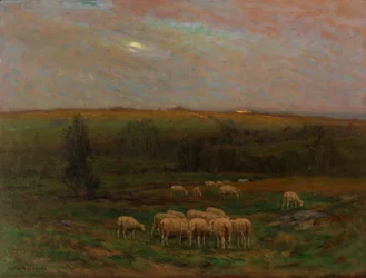 Avond na een Regenbui