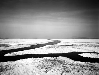 Voor altijd aan zee, 2012