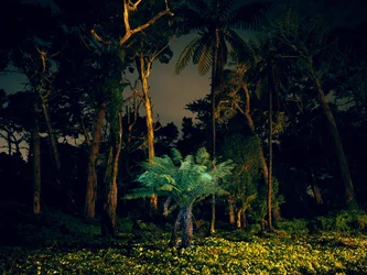 Schilderen in het donker, 2014