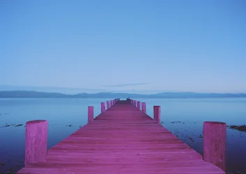 Schilderen in het donker, 2015