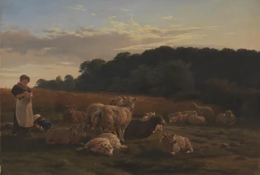 Een kudde schapen. Motief uit Faxingeskoven bij Nysø