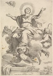 De Tenhemelopneming van de Maagd