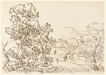 Boslandschap