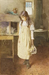 Het Huisdier Konijn