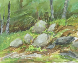 Green Forest Rocks