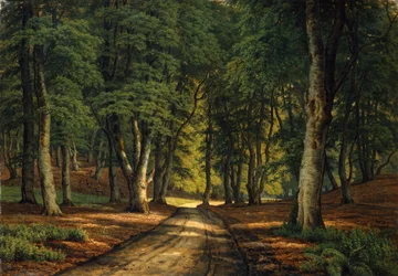 Een bebost landschap met herten