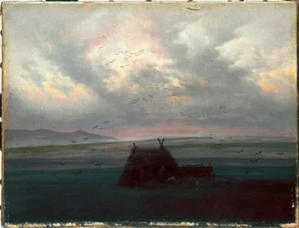 Mistflarden