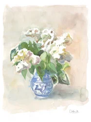 Zachte witte bloemen in een blauwe kan