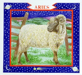 Ram