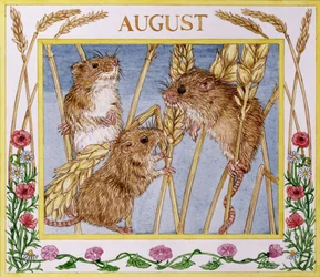 Augustus