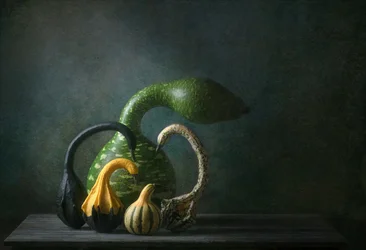 Stilleven met herfstpompoenen