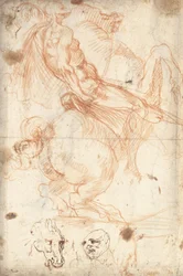 Ruiterstudie