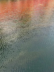 Compositie - Reflecties, 2022 (foto)