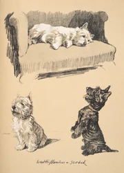 West Highlanders en Schotten, 1930, Illustraties uit zijn schetsboek gebruikt voor Just Among Friends, later gepubliceerd door Eyre en Spottiswoode Limited, 1934